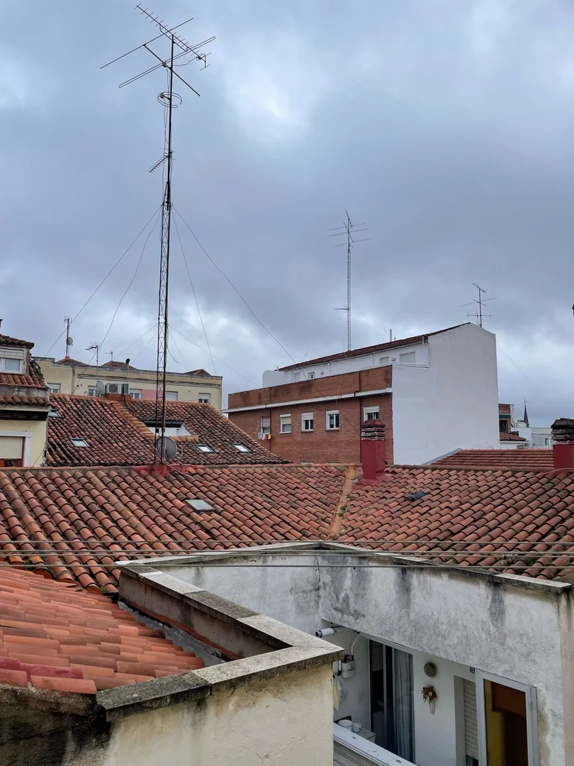 Piso en Calle de Mira el Río Alta, 6, Lavapiés-Embajadores - Foto 4