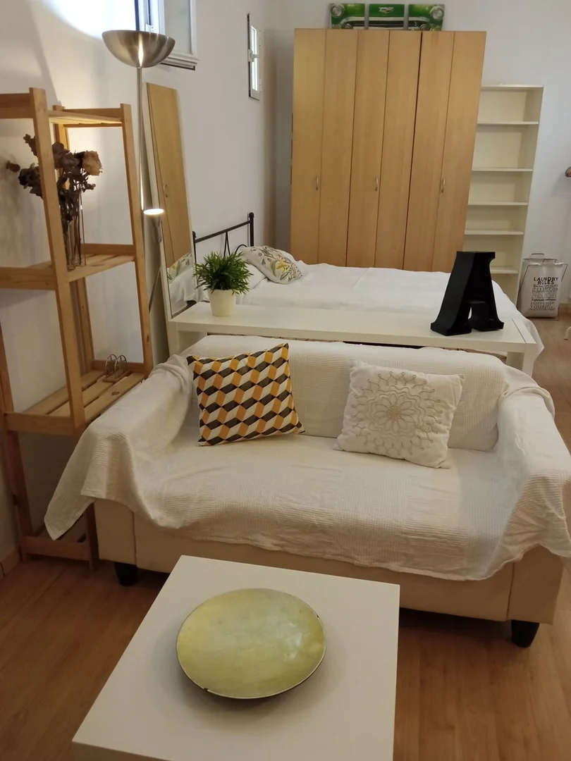 Estudio en Calle Feijoo, 11, Trafalgar - Foto 2