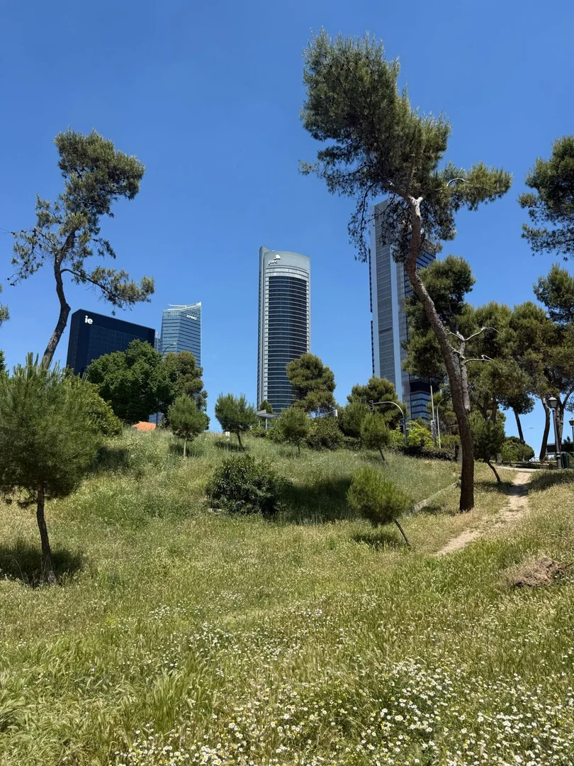 Piso en Calle de Sorolla, 5, Ventilla-Almenara - Foto 25