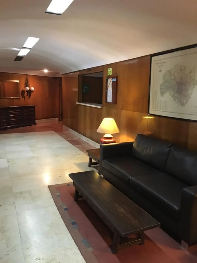 Piso en Calle de Francos Rodríguez, 64, Berruguete - Foto 11