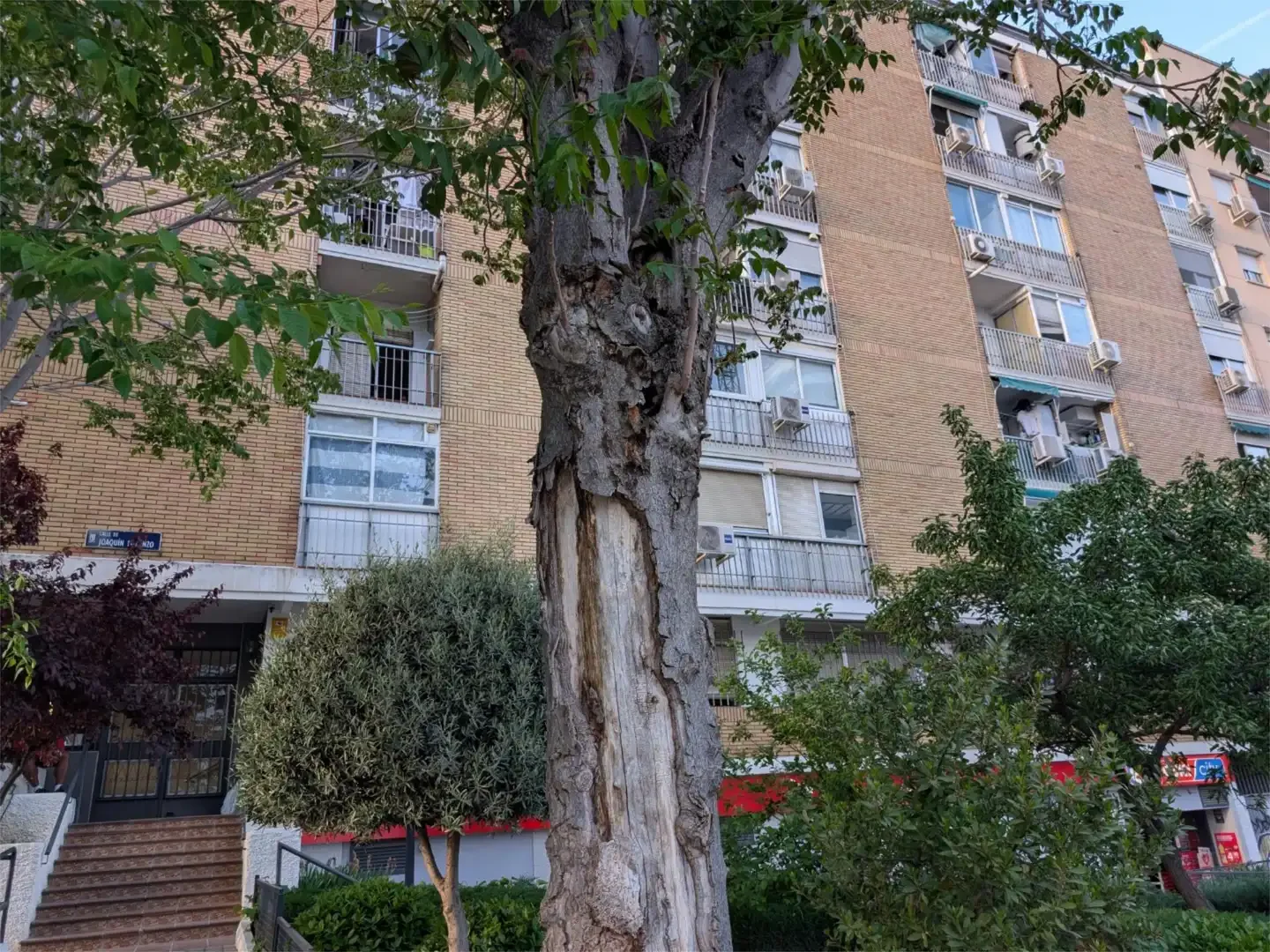 Piso en  Calle de Joaquín Lorenzo 52 - Foto 18