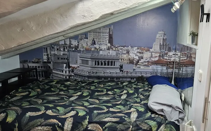 Ático en Calle de Concepción Jerónima, Lavapiés-Embajadores - Foto 5