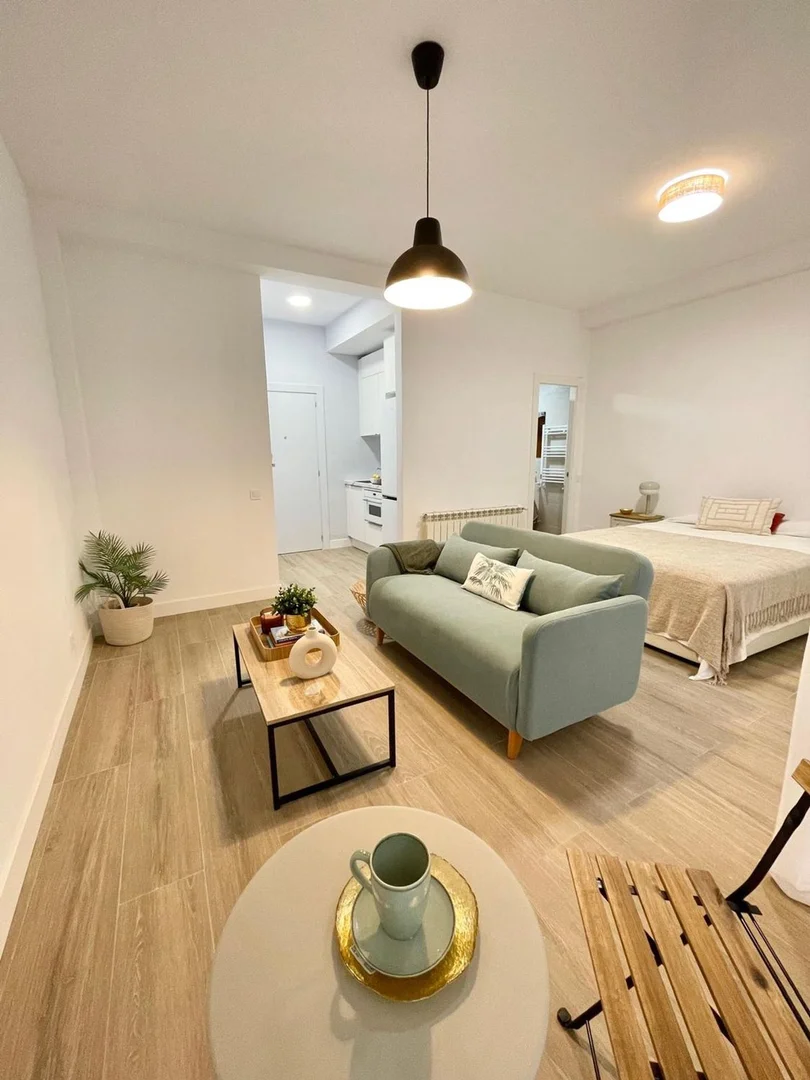 Piso en Barrio Lavapiés-Embajadores - Foto 10