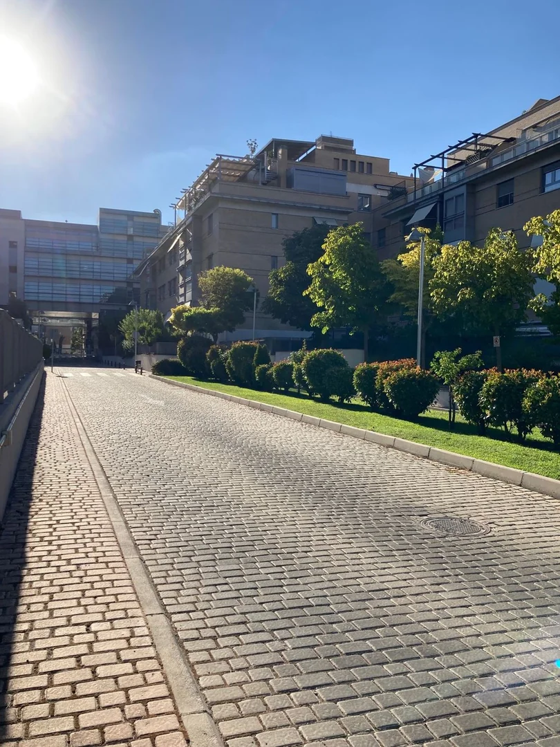 Piso en Avenida del Talgo, 94, Aravaca - Foto 6