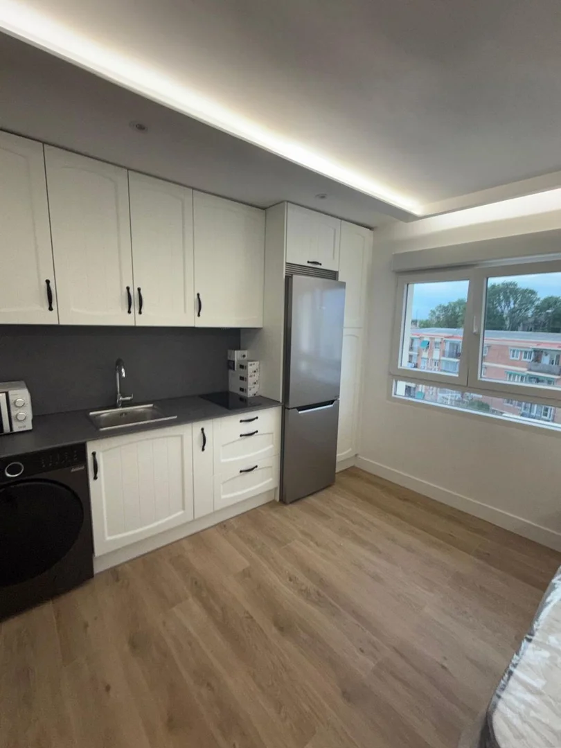 Estudio en calle Magnesia, 27 - Foto 5