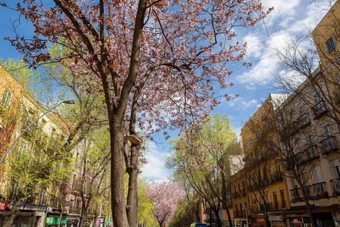 Piso en paseo de Extremadura, 73 - Foto 47