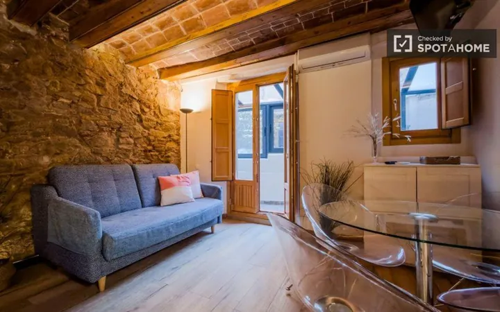 Estudio en Calle de la Riera Alta, El Raval - Foto 9