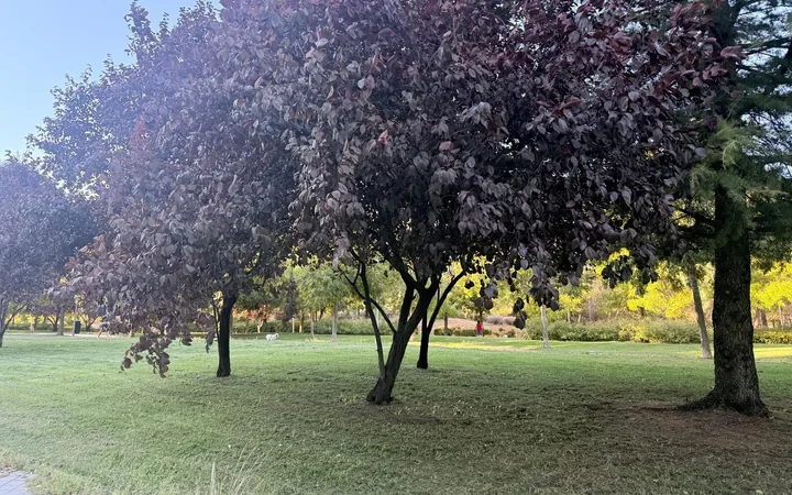 Dúplex en Conde Orgaz-Piovera, Conde Orgaz-Piovera - Foto 34
