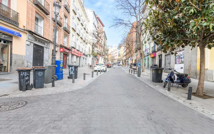 Piso en Calle del Ave María, 27, Lavapiés-Embajadores - Foto 38