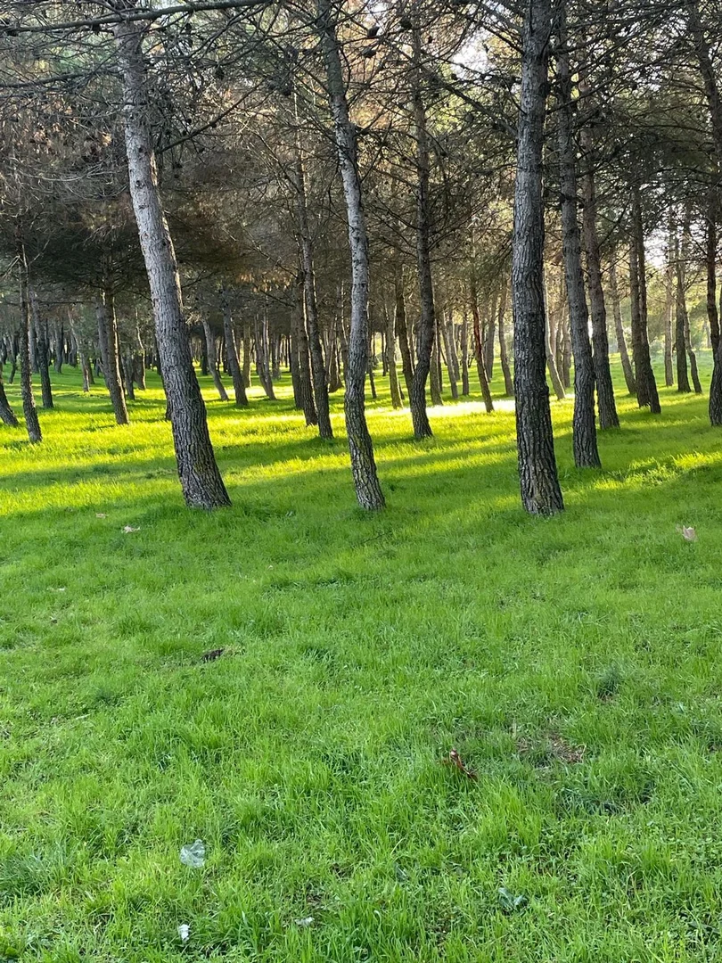 Piso en avenida de los Prunos, 11 - Foto 17