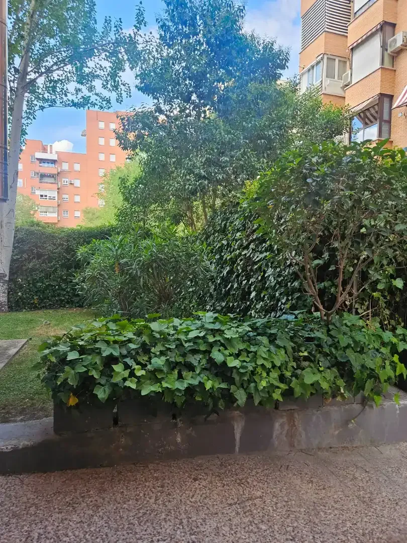 Piso en  Calle de Valdeverdeja - Foto 16