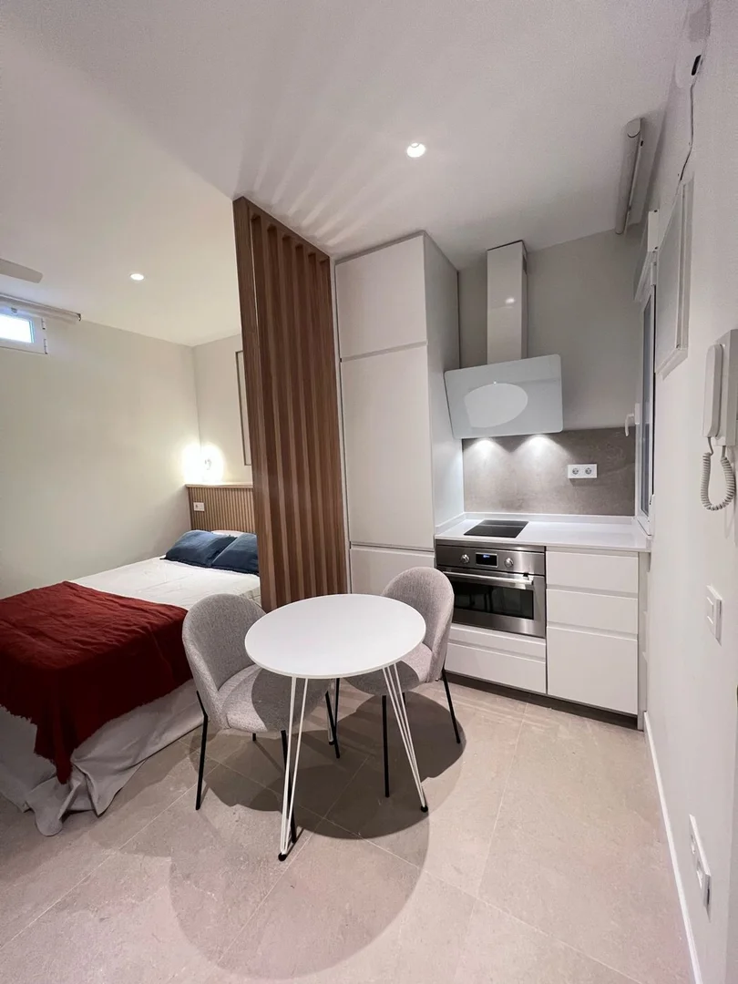 Estudio en calle de Ayala, 81 - Foto 3