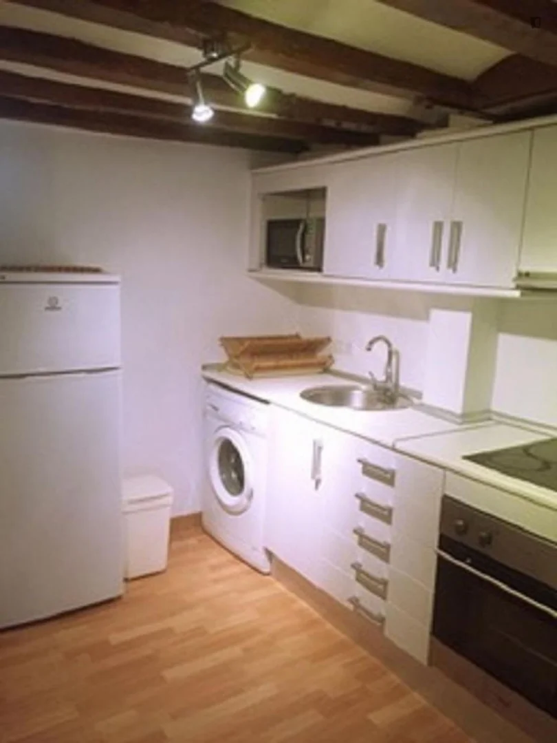 Estudio en Calle d'En Cortines, Sant Pere - Santa Caterina i la Ribera - Foto 13