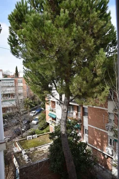 Piso en Barrio Bernabéu-Hispanoamérica - Foto 25