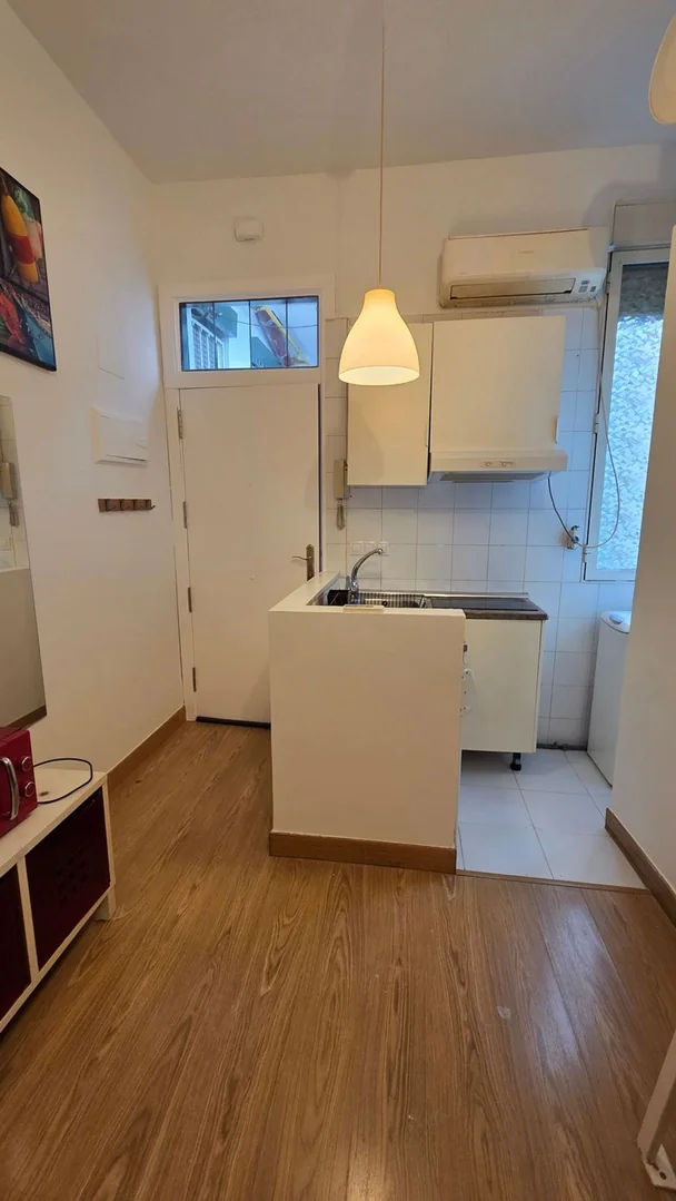 Estudio en Calle de Argumosa, 14, Lavapiés-Embajadores - Foto 4