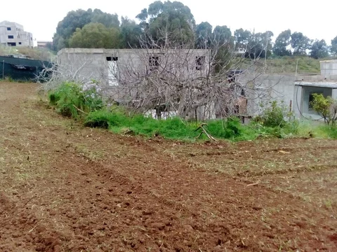 Finca rústica en calle los Charquitos s/n Sn - Foto 8