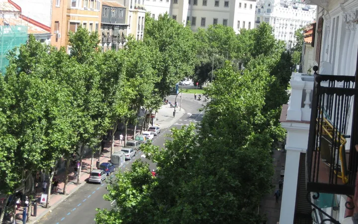 Piso en Paseo de las Delicias, 13, Palos de la Frontera - Foto 1