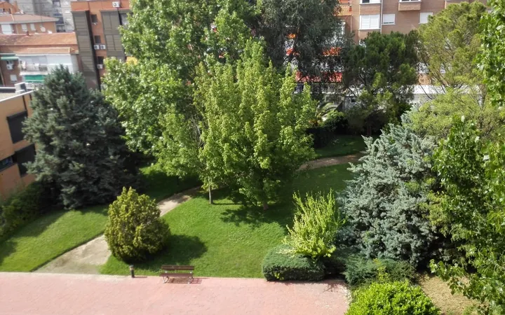 Piso en Rosas, Rosas - Foto 18
