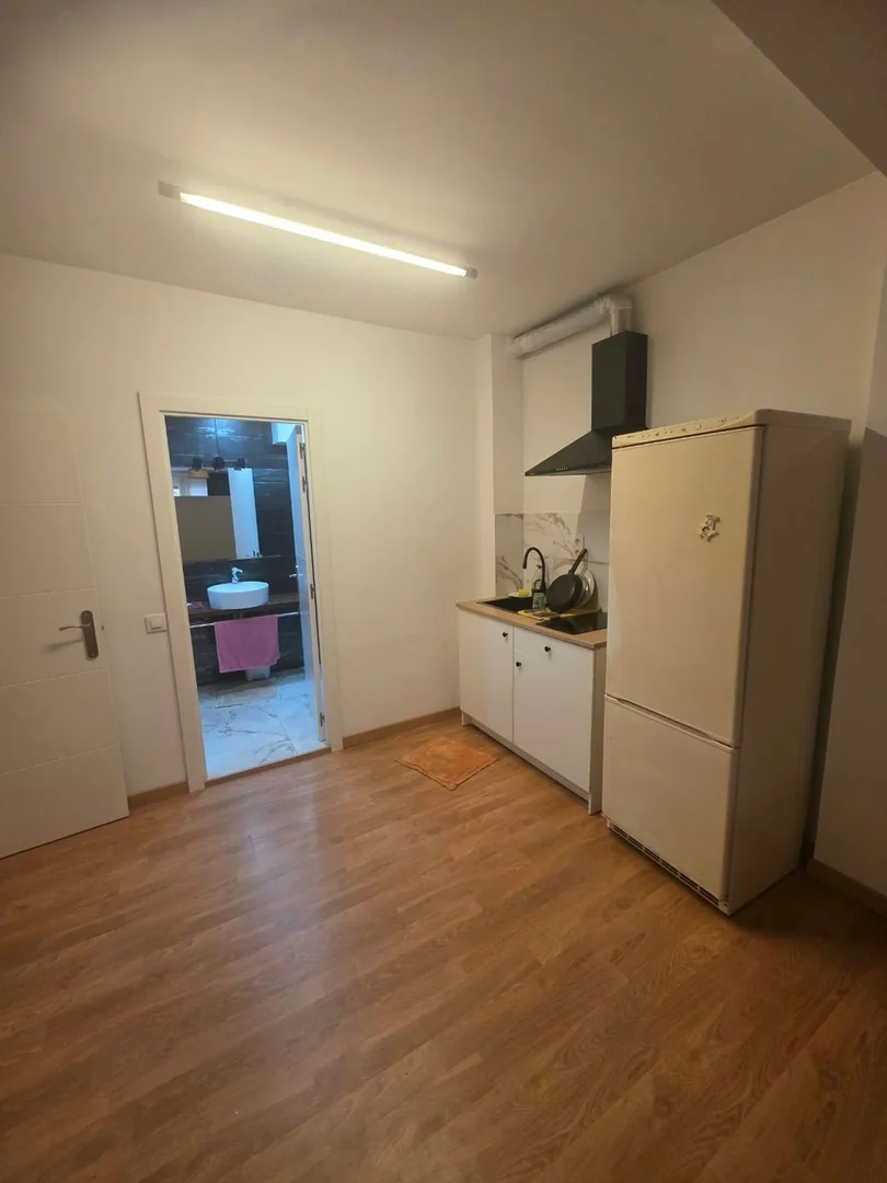 Estudio en Calle de Balmes, Sant Gervasi - Galvany - Foto 8