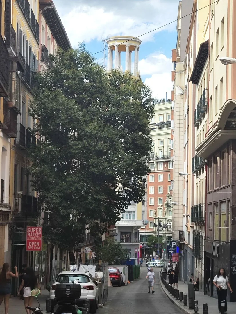 Piso en Calle de Isabel la Católica, 13, Palacio - Foto 4