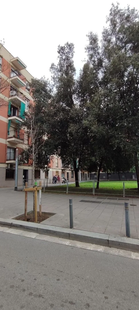 Piso en calle de l'Escultor Ordóñez, 55 - Foto 5