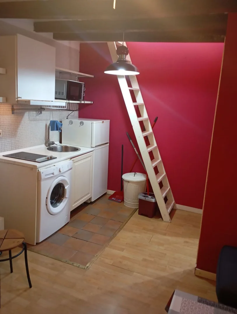Estudio en Calle del Mesón de Paredes, 55, Lavapiés-Embajadores - Foto 9