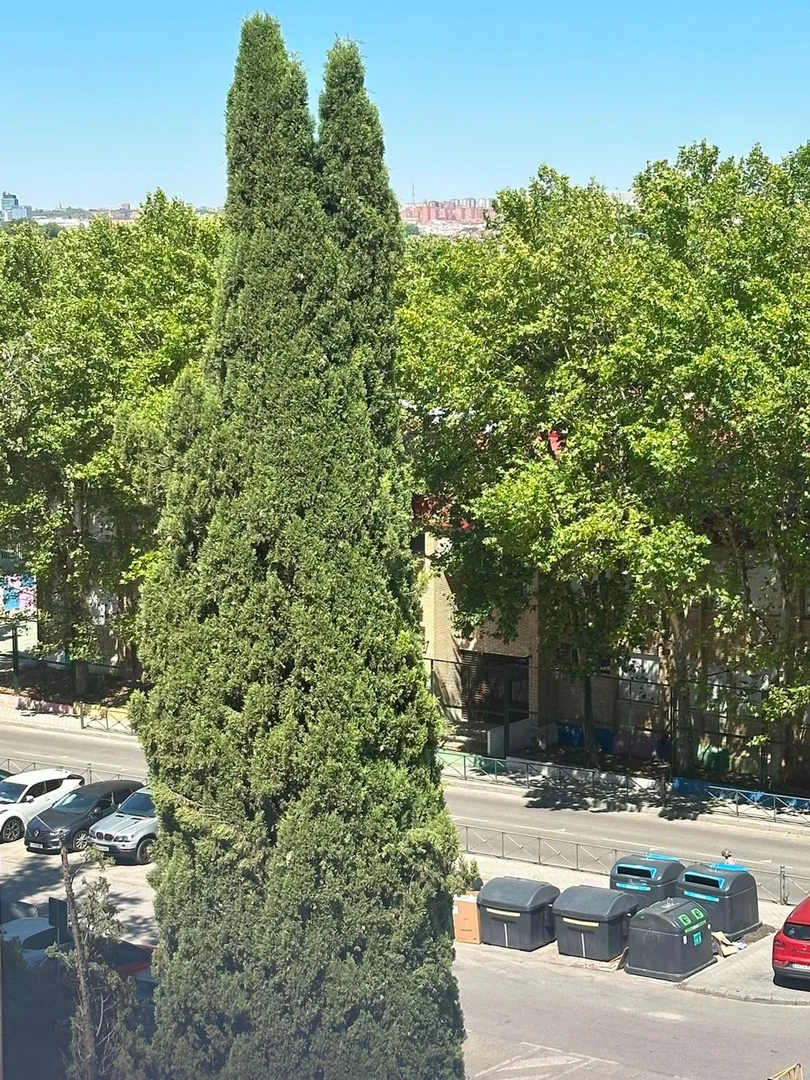 Piso en Calle del Camino Viejo de Villaverde, 14, Orcasitas - Foto 13