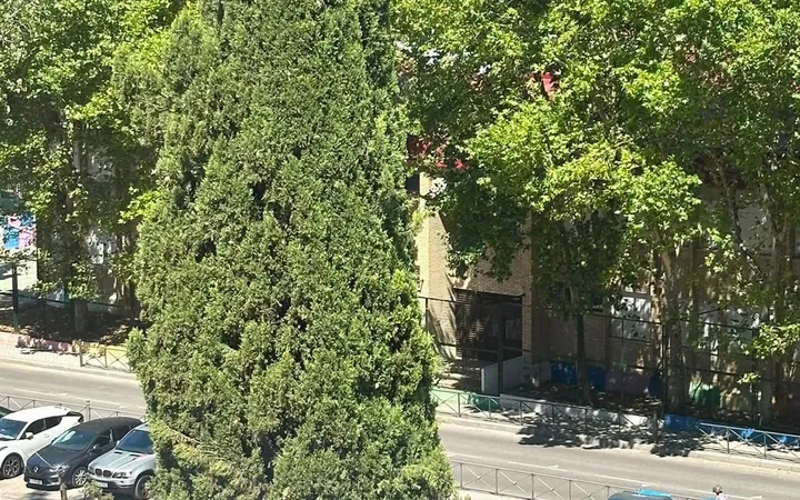Piso en Calle del Camino Viejo de Villaverde, 14, Orcasitas - Foto 13