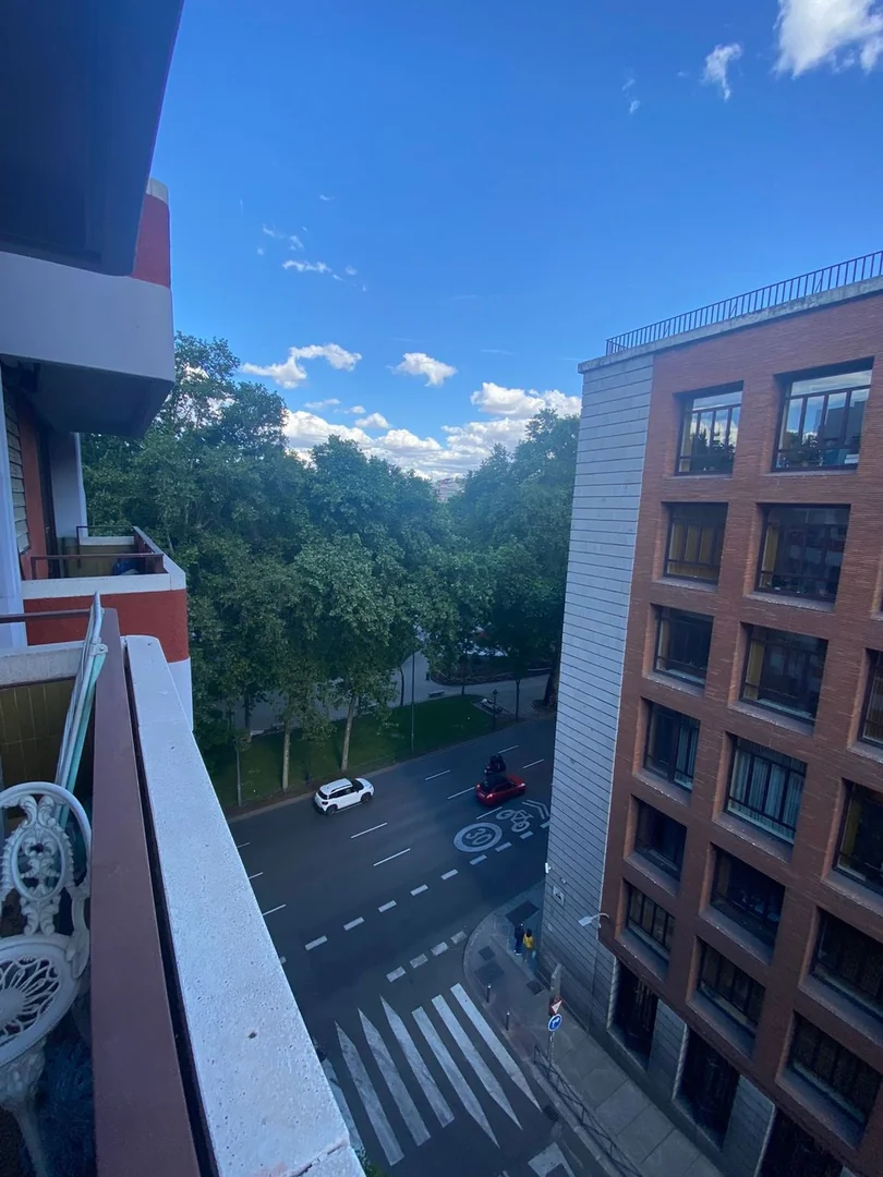 Piso en Paseo del Prado - Foto 7