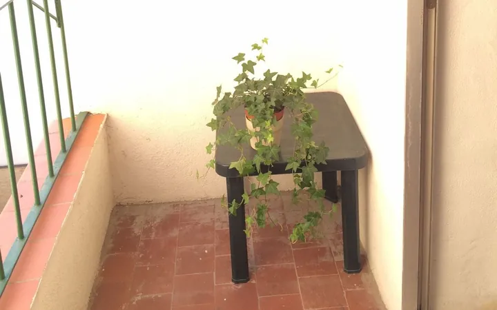 Ático en Calle del Rosario, 7, Palacio - Foto 12