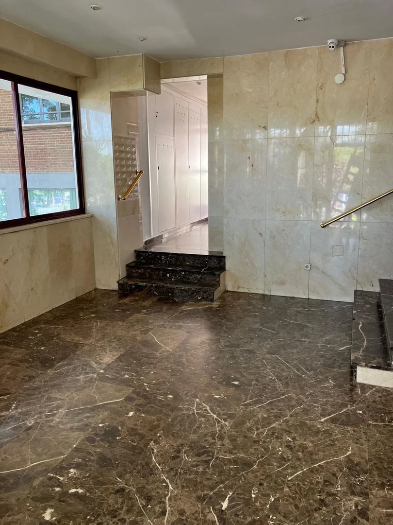 Estudio en calle de Joaquín Lorenzo, 52 - Foto 4