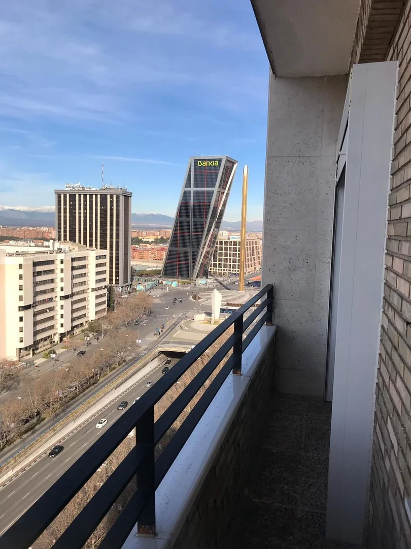 Piso en Paseo de la Castellana, 210, Nueva España - Foto 5