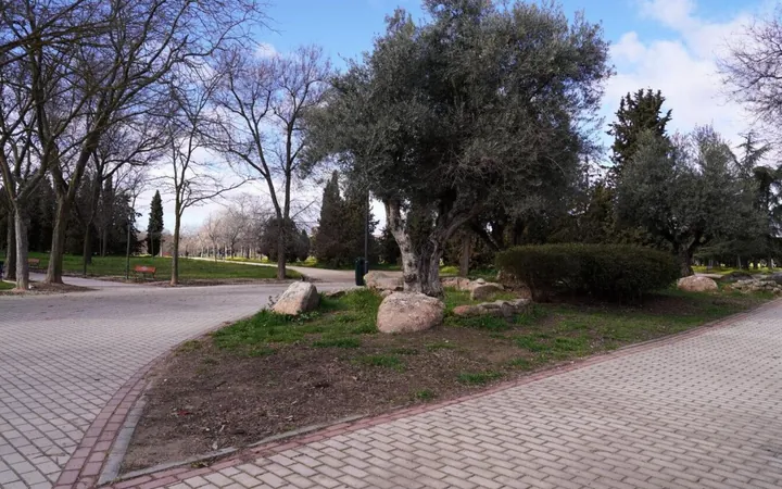 Piso en Calle de Belzunegui, 54, Puerta Bonita - Foto 23