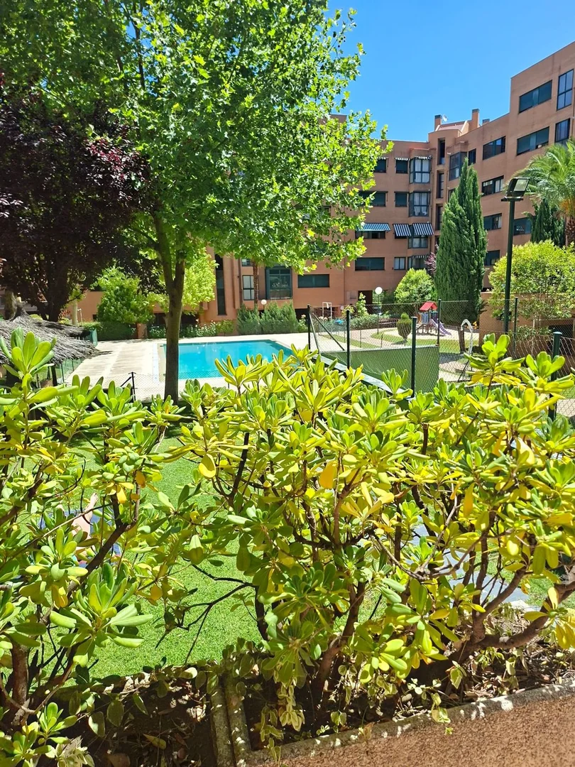 Piso en Avenida de los Andes, 22, Palomas - Foto 31