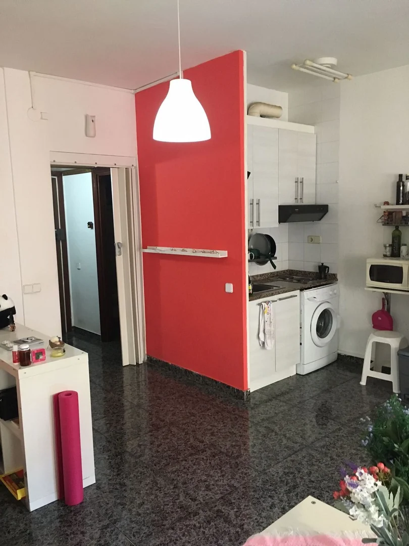 Piso en Paseo de sant joan, 172, El Camp d'En Grassot i Gràcia Nova - Foto 25
