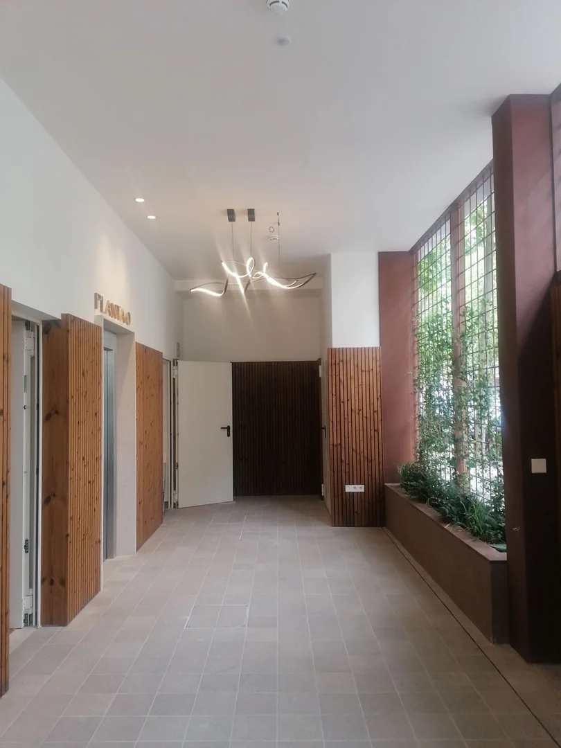 Estudio en Calle de Lope de Haro, Berruguete - Foto 49