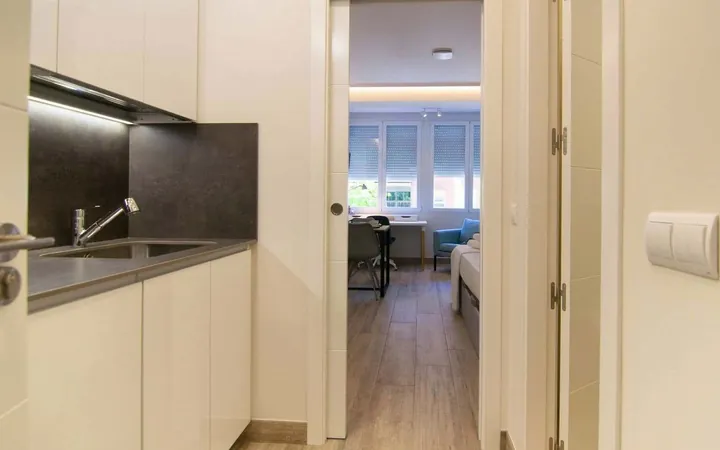 Estudio en Paseo de la Castellana, 249, Ventilla-Almenara - Foto 7