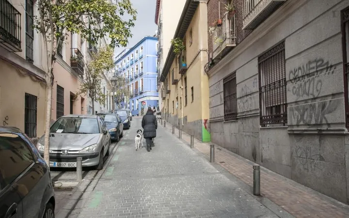 Estudio en Calle de Santa Lucía, Malasaña-Universidad - Foto 13