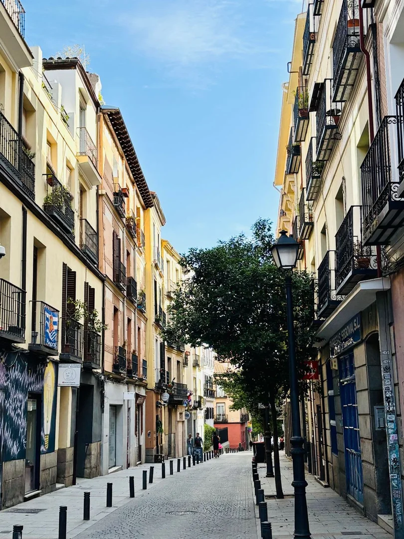 Piso en Chueca-Justicia, Chueca-Justicia - Foto 2