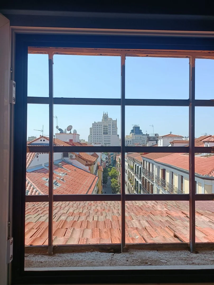 Ático en Calle de Colón, 14, Malasaña-Universidad - Foto 8