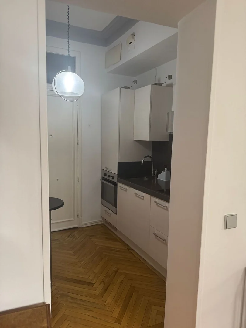 Piso en Calle de Rafael Calvo, 13, Almagro - Foto 6