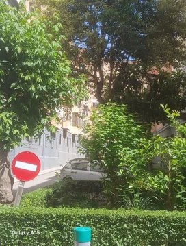 Piso en Paseo de las Delicias, 63, Delicias - Foto 28