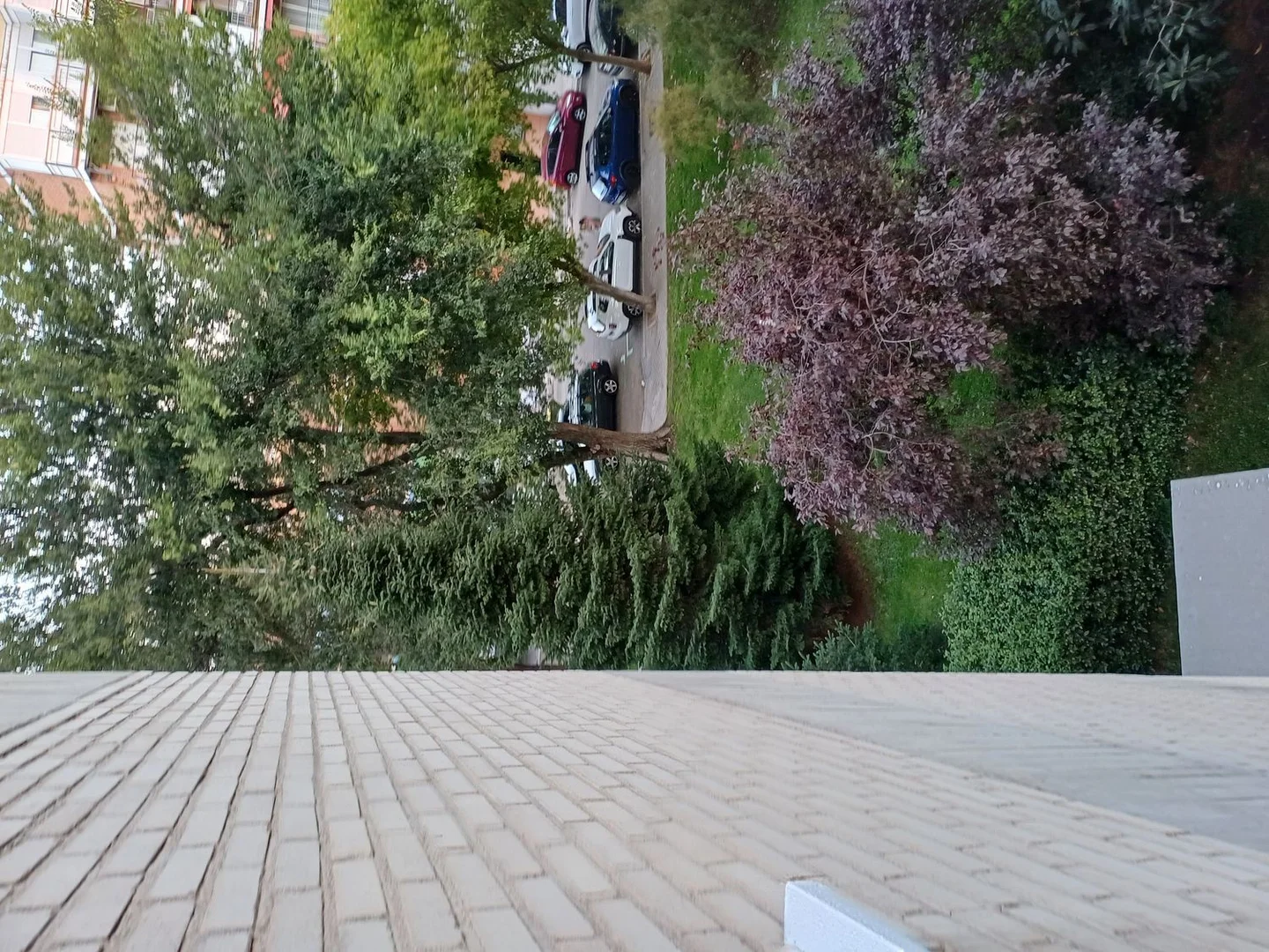 Alquiler de piso en Avenida del Doctor Federico Rubio y Galí, Madrid, 67 - Foto 17
