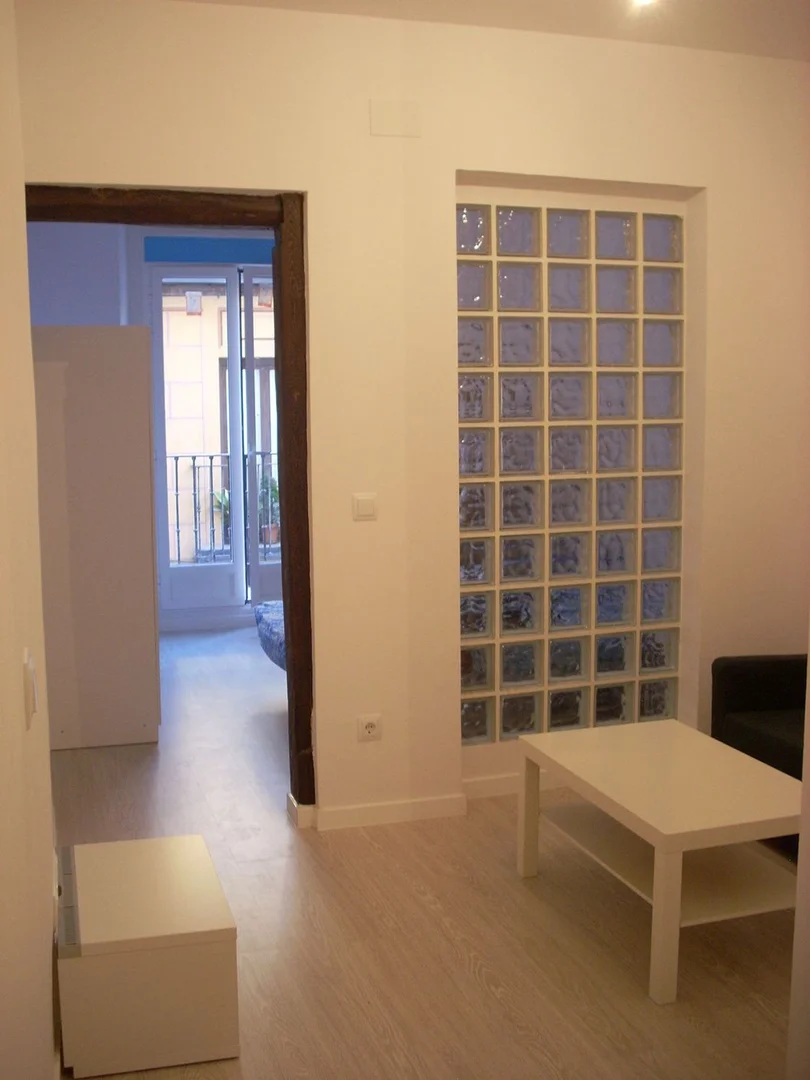 Piso en Lavapiés-Embajadores - Foto 4