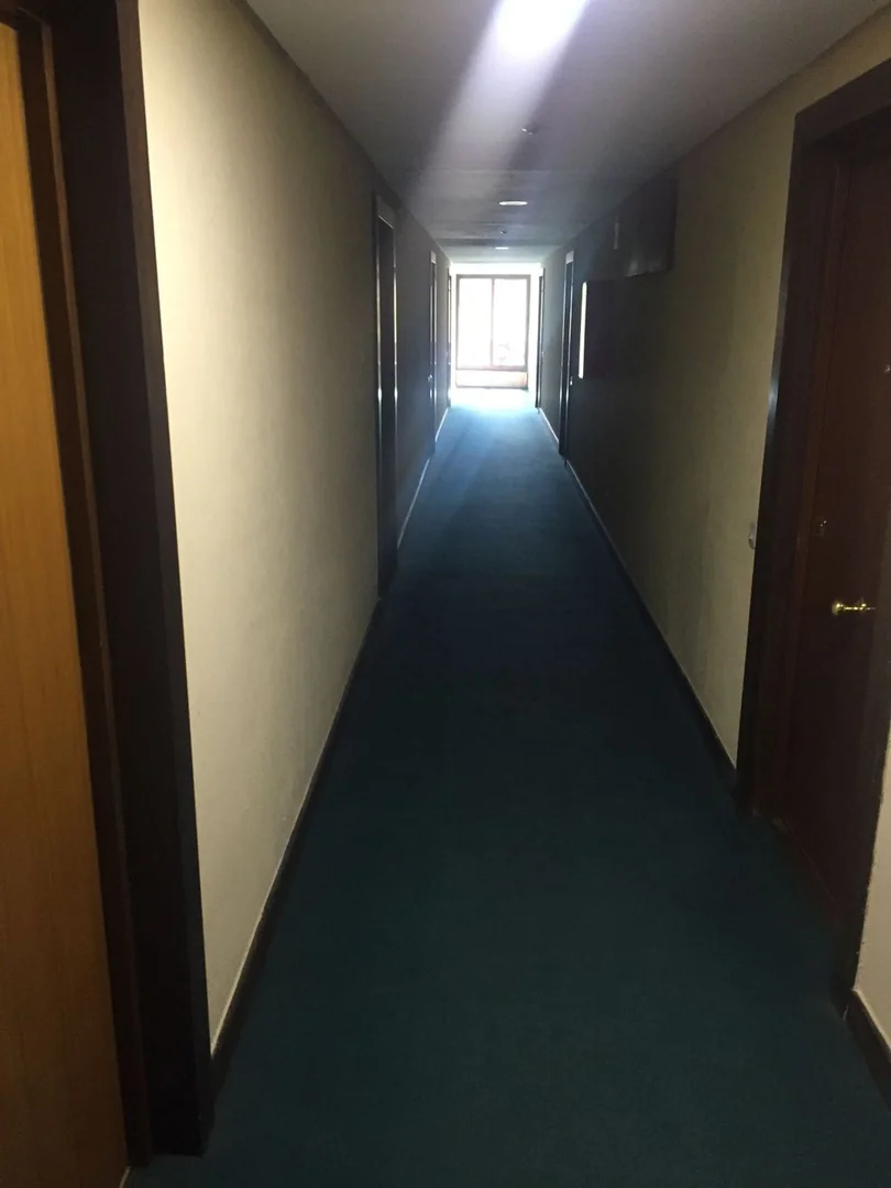 Estudio en calle de la Infanta Mercedes, 92 - Foto 11