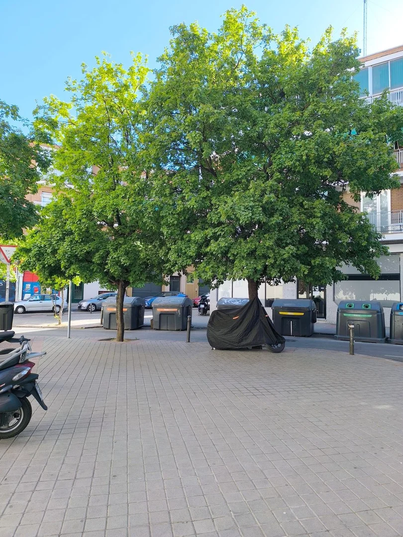 Estudio en calle Carlos Paíno, 15 - Foto 46