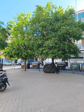 Estudio en calle Carlos Paíno, 15 - Foto 46