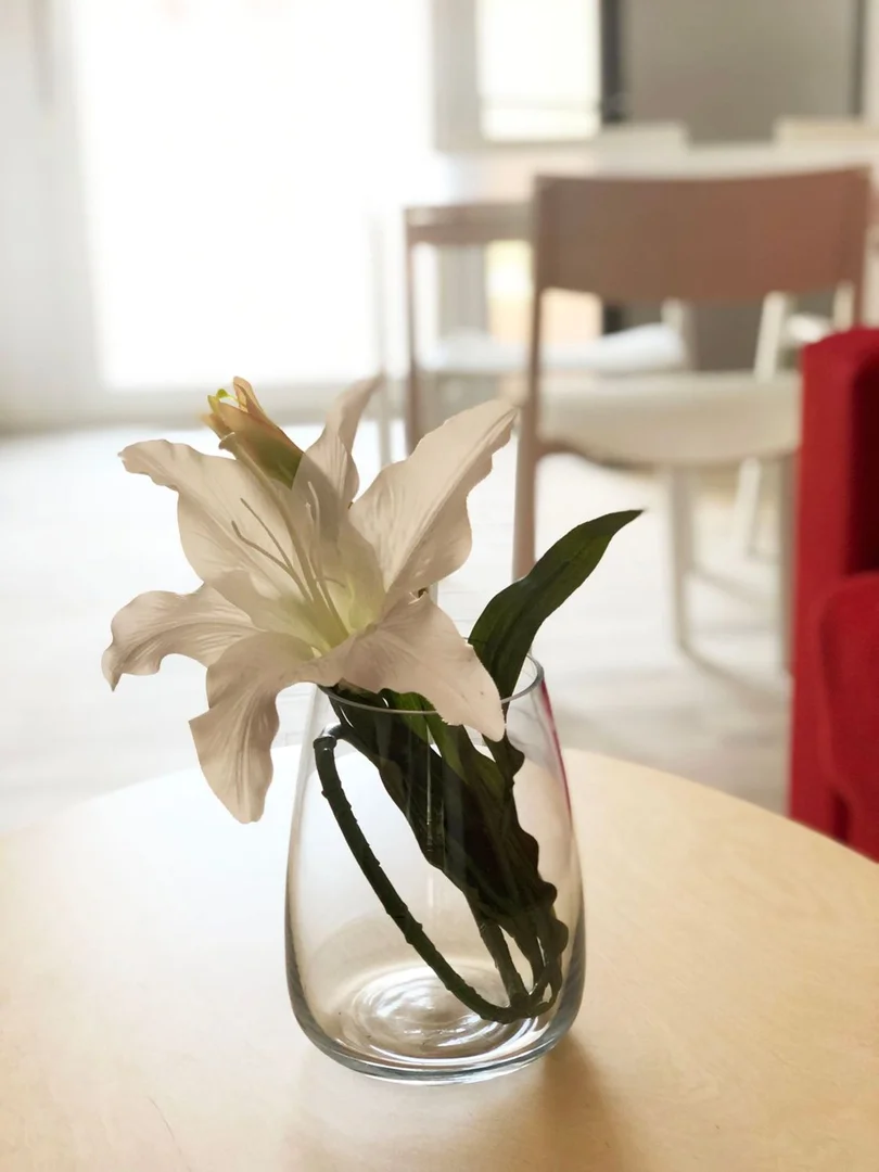 Estudio en calle Baracaldo, 3 - Foto 14