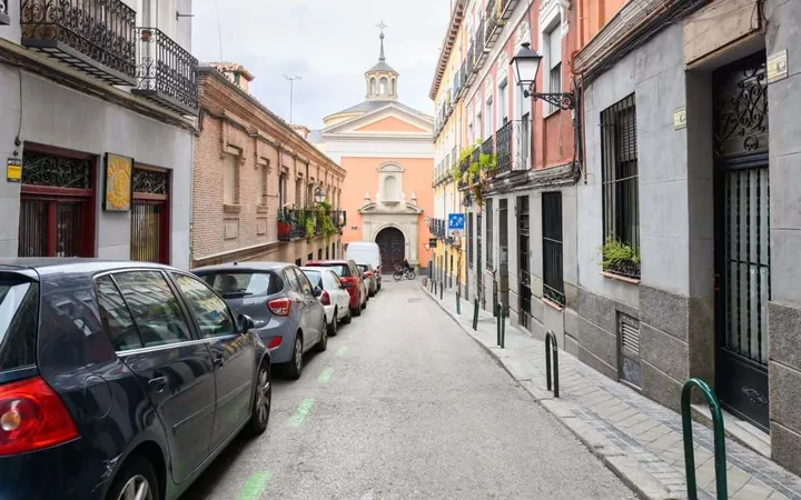 Piso en Calle San Cosme y San Damián, 14, Lavapiés-Embajadores - Foto 44