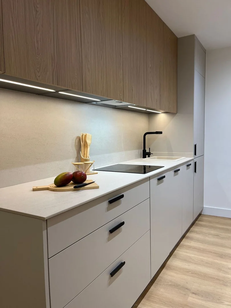 Estudio en Calle de Atocha, 43, Huertas-Cortes - Foto 5